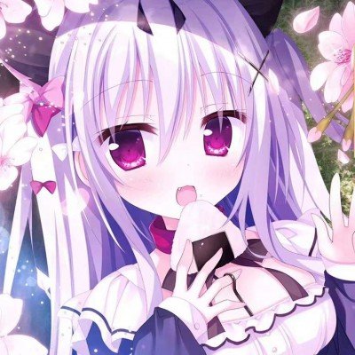 三亚4只1035元的到底是什么虾